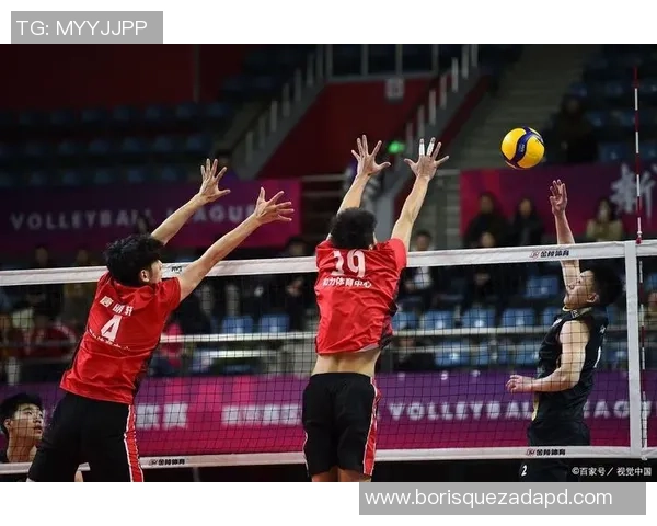 杨芳独家分享排球心得与技巧助你提升球技的秘诀与经验