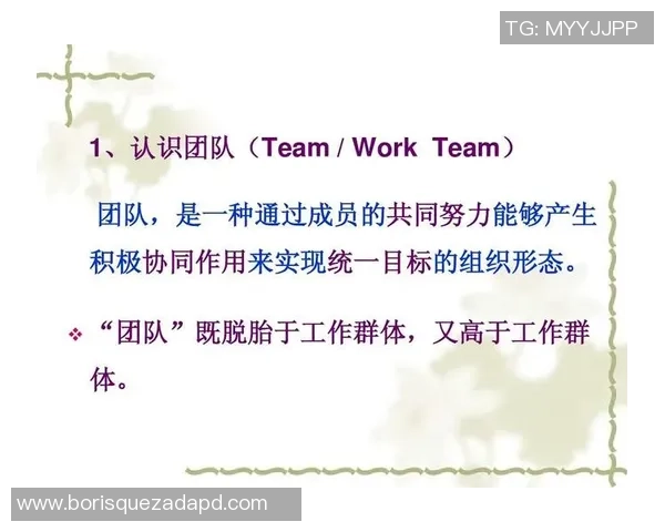 重庆排球队的团队协作探秘:如何在赛场上实现默契与胜利