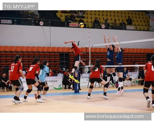 排球热点：解读重庆排球队的区域防守